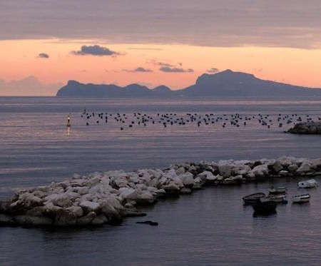 Terrazze Del Lungomare Bed & Breakfast Napoli Eksteriør bilde